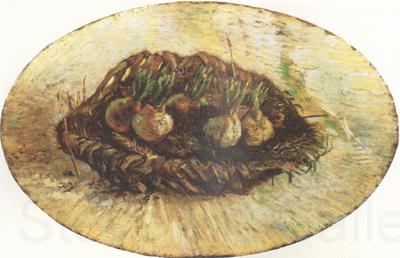 Vincent Van Gogh Basket of Sprouting Bulbs (nn04) France oil painting art